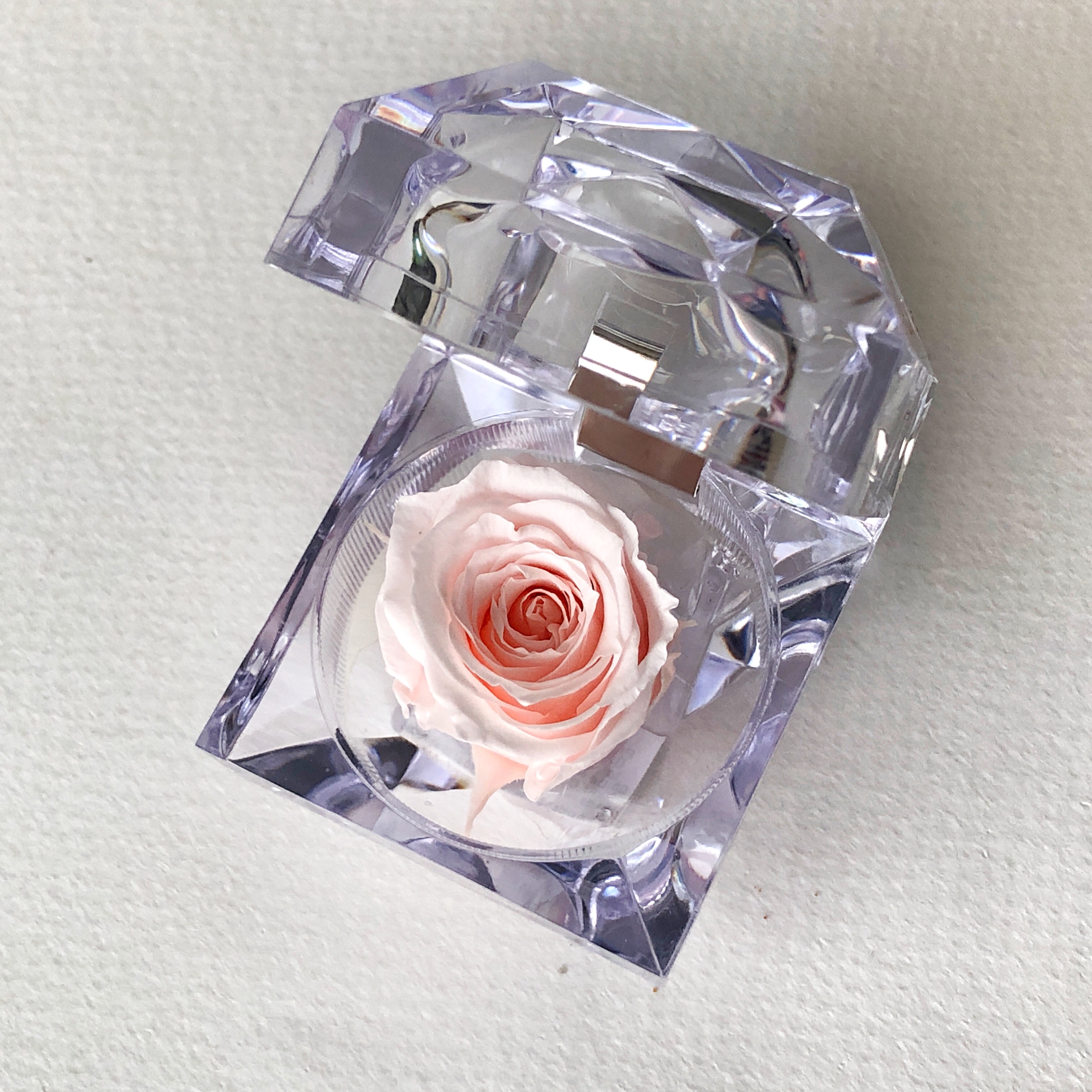 JOYERO PINK CHAMPAGNE