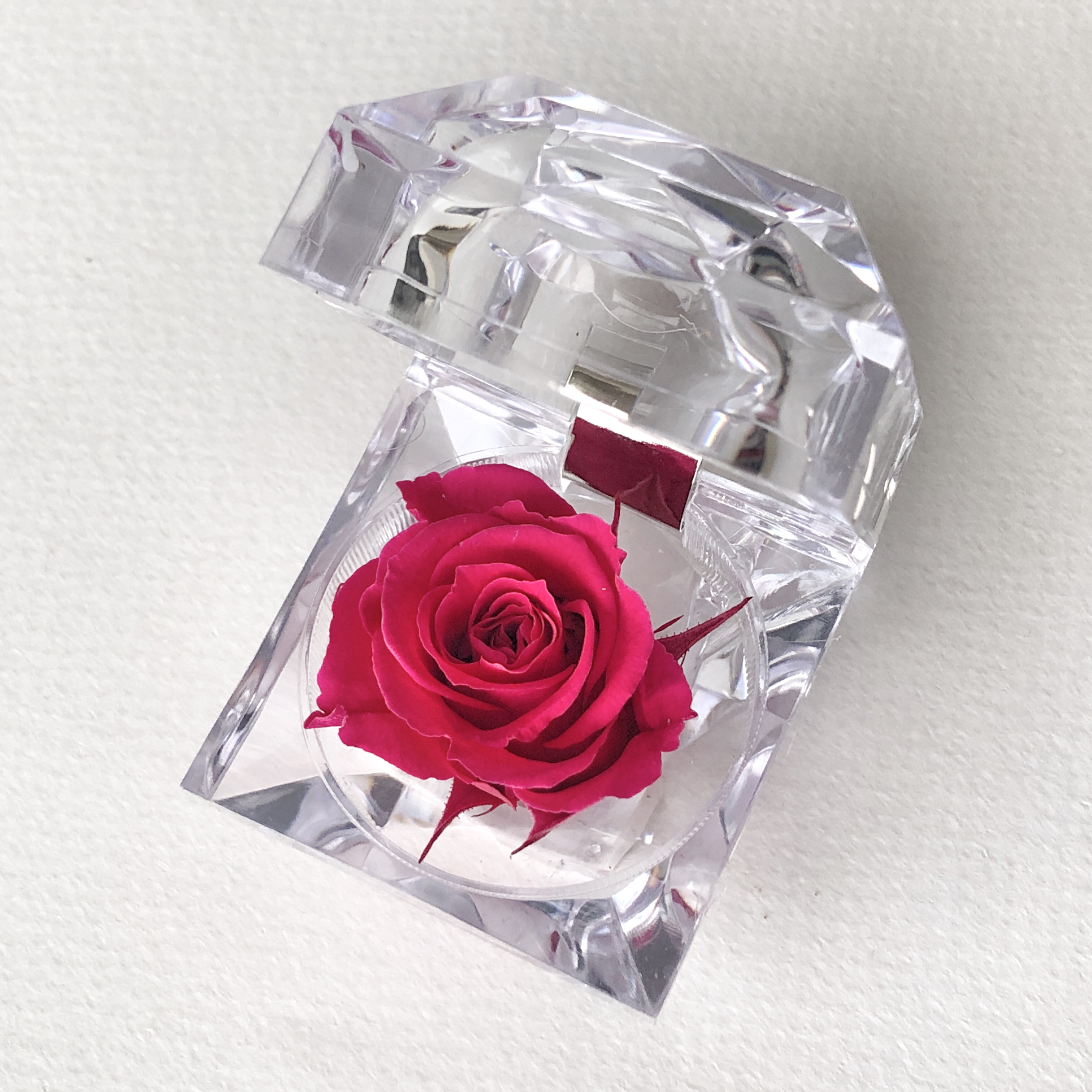 JOYERO PINK FRAMBOISE