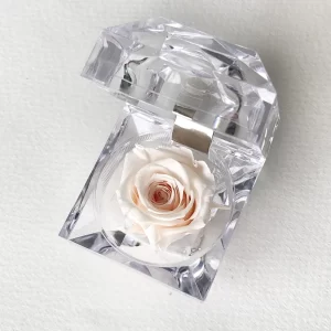 JOYERO ALMOND CREAM