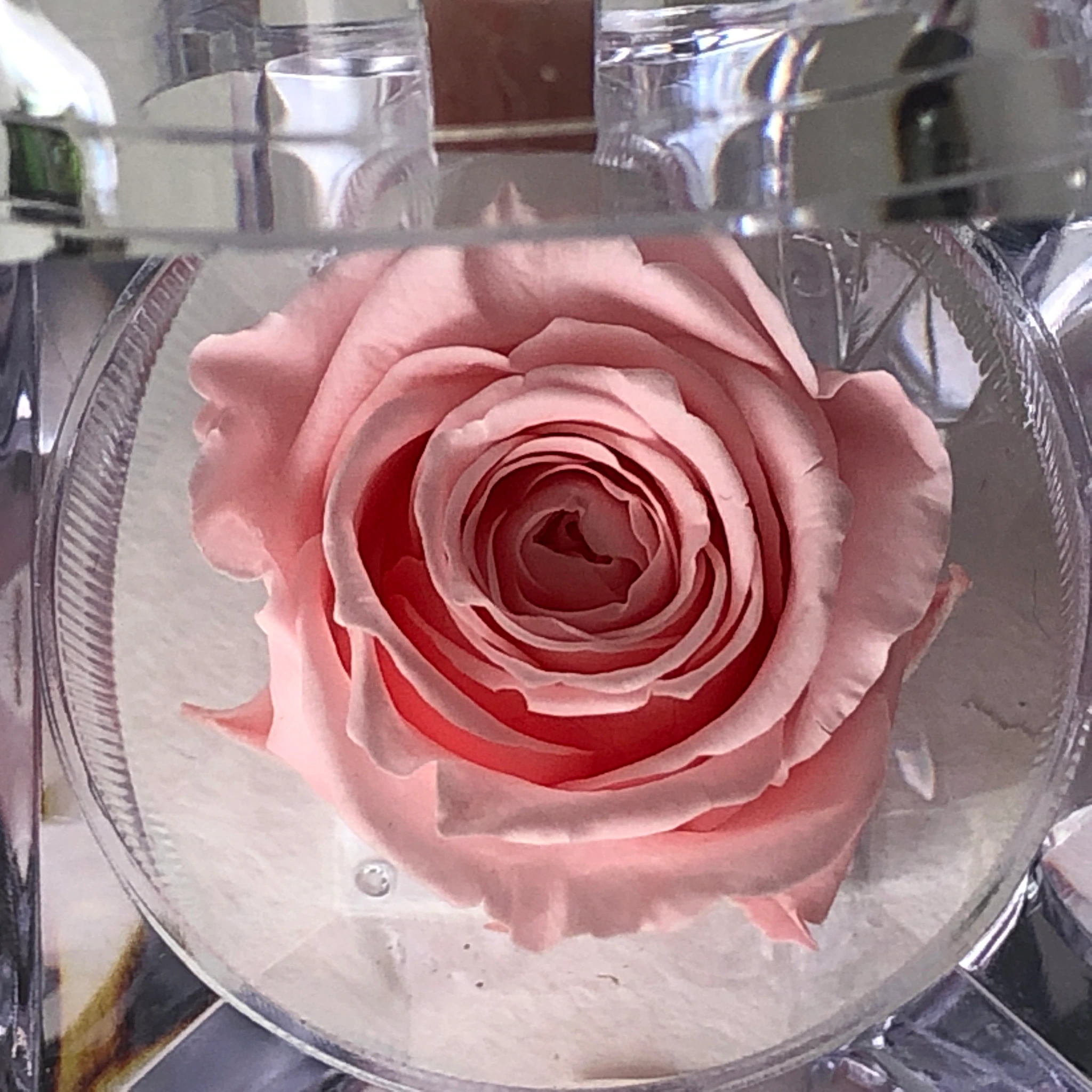 JOYERO BABY PINK - Imagen 2