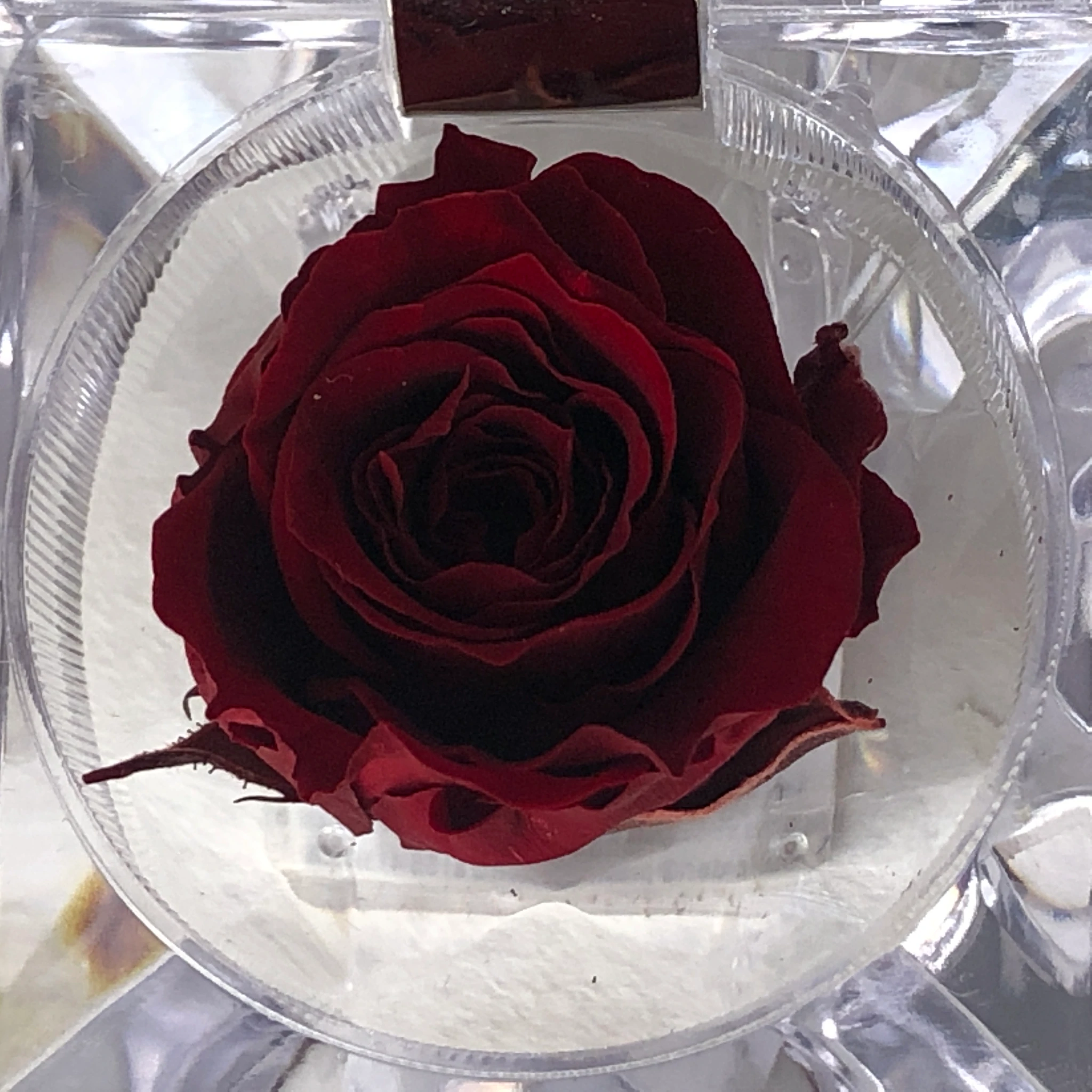 JOYERO BURGUNDY - Imagen 2