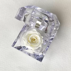 JOYERO PRINCESS WHITE