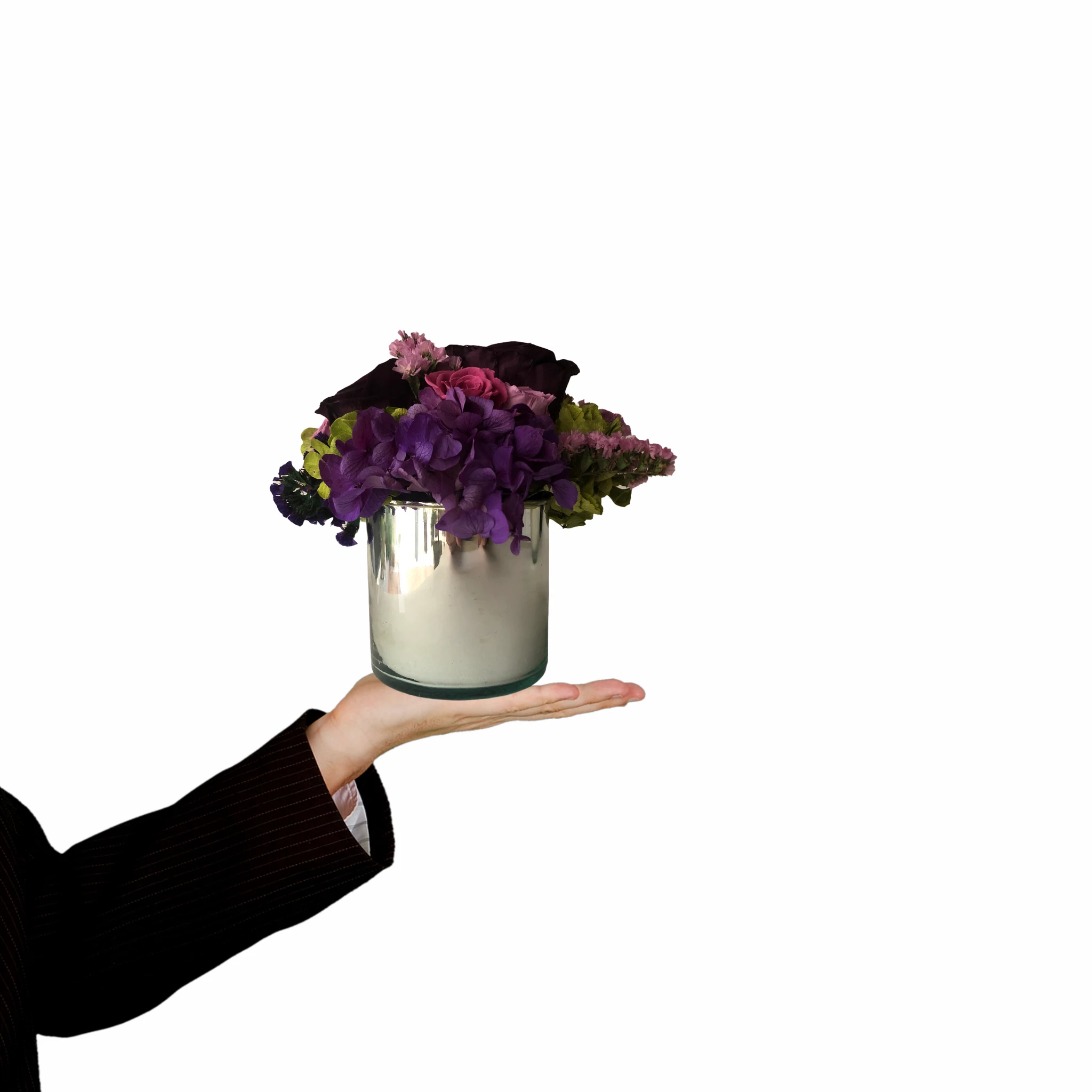 PAULETTE - Imagen 5