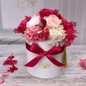 HATBOX MIX FRAMBUESA COLECCION 2025